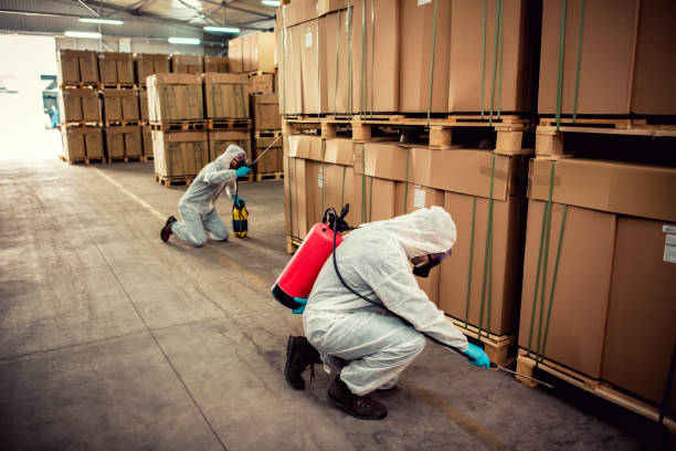 Best Flea Control Services  in Weissport East, PA