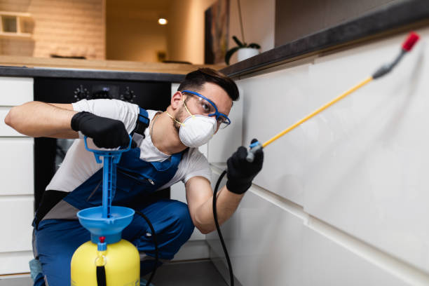 Trusted Weissport East, PA Pest Control Experts