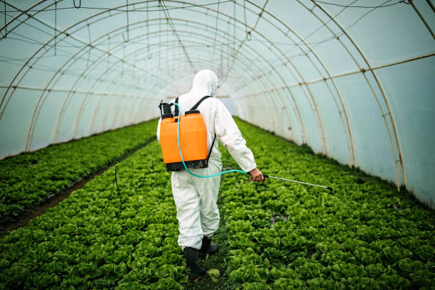 Best Emergency Pest Control  in Weissport East, PA