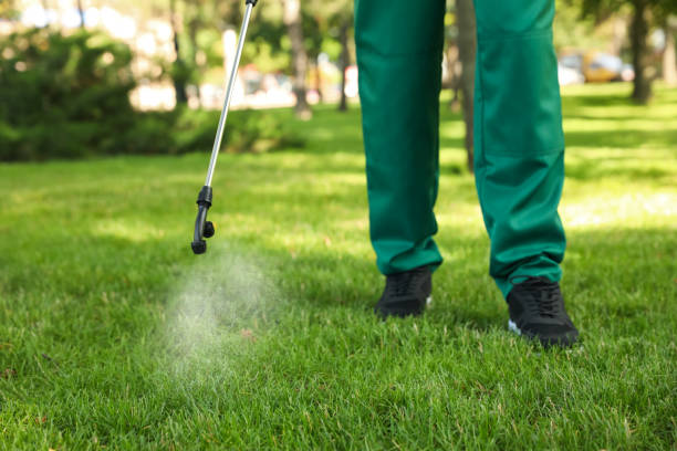 Best Pest Control Treatment  in Weissport East, PA