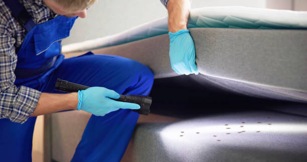 Best Mosquito Control Services  in Weissport East, PA