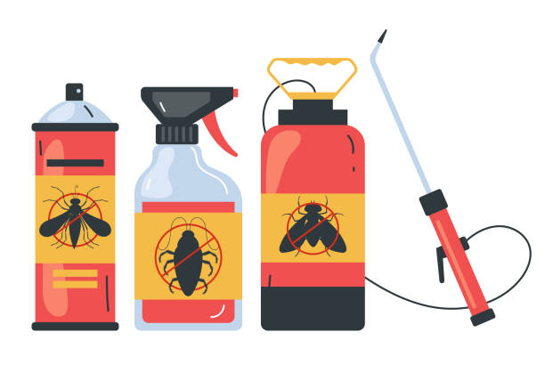 Best Local Pest Control Services  in Weissport East, PA