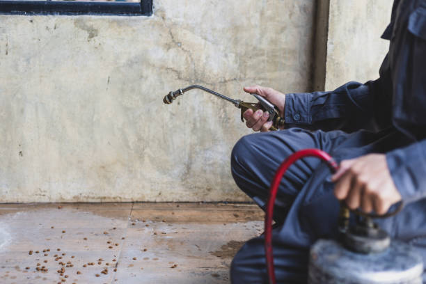 Best Pest Prevention Services  in Weissport East, PA