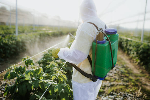 Best Best Pest Control Companies  in Weissport East, PA